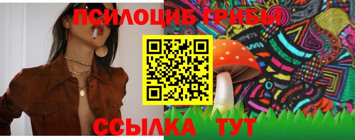 Псилоцибиновые грибы мицелий Рубцовск